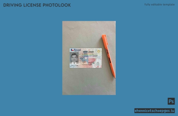 US-amerikanischer Führerschein aus Texas im PSD-Format, vollständig bearbeitbar, Fotoansicht ab 2020 (Beispielvorschau)